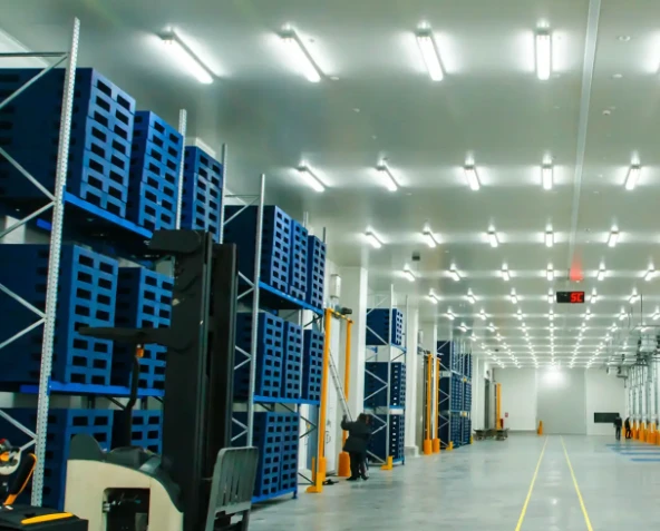 Beyond the Big Strategy: Tangible Quick Wins for Immediate Cost and CO₂ Savings